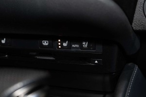 2020 Lexus ES ES300h F Sport
