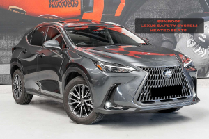 2023 Lexus NX NX250